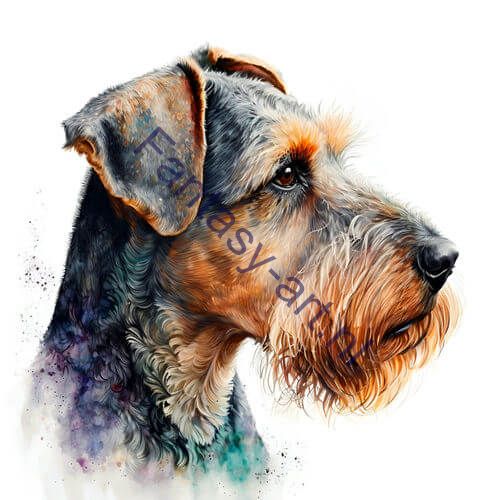 A hyperrealistic Welsh Terrier watercolor illustration in a close-up portrait on a white background, with detailed ears and face, rendered in a painterly style with airbrush techniques.