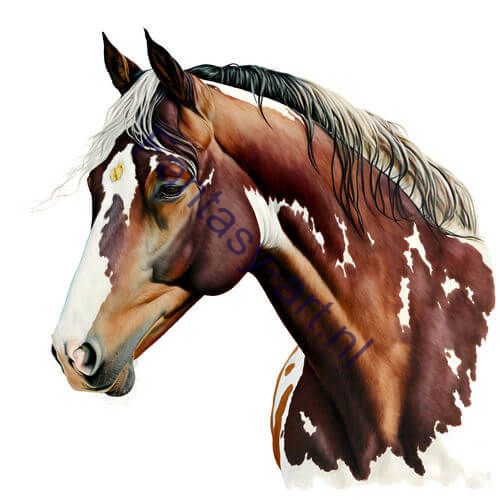 A digital rendering of a brown and white Skewbald Pinto horse painted in the American velvet style.